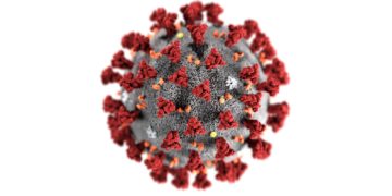 Rising Covid-19 and the Situation of Coronavirus Nowadays