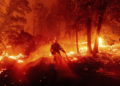 California Sets a New Record for Wildfires in 2020