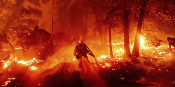 California Sets a New Record for Wildfires in 2020